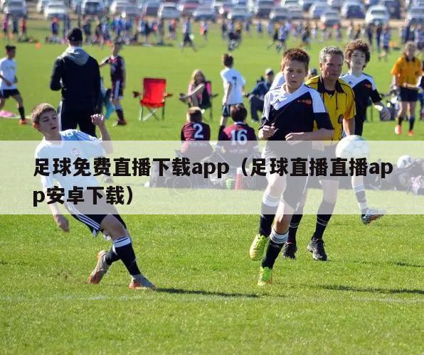 足球免费直播下载app（足球直播直播app安卓下载）