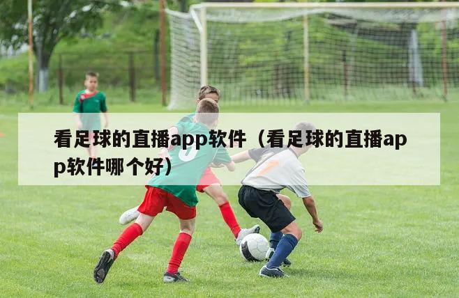 看足球的直播app软件（看足球的直播app软件哪个好）